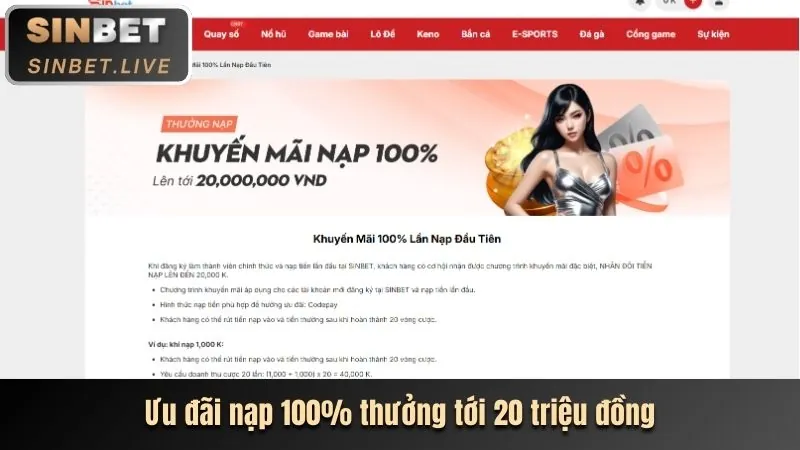 Tổng quan các chương trình khuyến mãi N88
